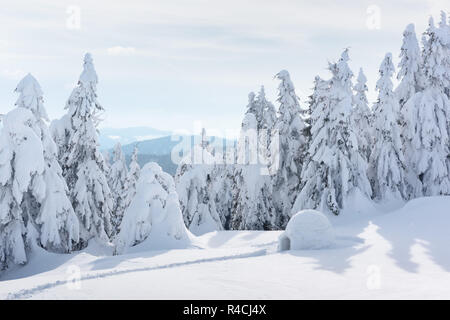 Neve vera casa igloo in inverno le montagne dei Carpazi. Coperte di neve abeti sullo sfondo Foto Stock