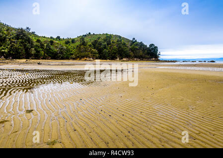 Deserto Tropical Island Beach, pacifico e tranquillo paesaggio. Parco Nazionale di Abel Tasman, Nuova Zelanda Foto Stock