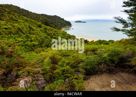 Deserto Tropical Island Beach, pacifico e tranquillo paesaggio. Parco Nazionale di Abel Tasman, Nuova Zelanda Foto Stock