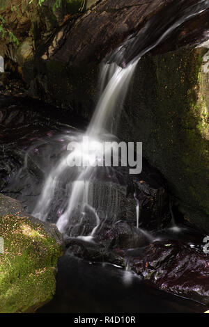 Le Fairy Falls cascate all Trefriw nel Galles del Nord Foto Stock