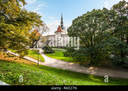 La torre e il campanile della chiesa di San Nicola si innalza al di sopra della cinta muraria medievale di Tallinn, Estonia Foto Stock