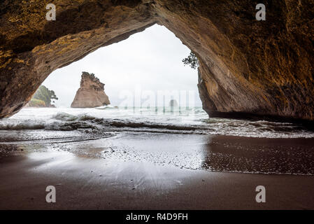 Arco di roccia in Te Whanganui-A-Hei (Cove della cattedrale) riserva marina, Nuova Zelanda. Foto Stock