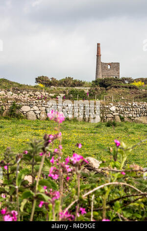 Resti della casa del motore di camini a Geevor Miniera di stagno, Pendeen ,Cornwall Inghilterra , UK, Europa Foto Stock