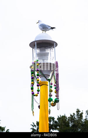 Piccolo piccione appollaiato su un palo a Long Beach, California, Stati Uniti Foto Stock