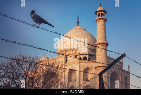 Taj Mahal dietro al filo spinato Foto Stock