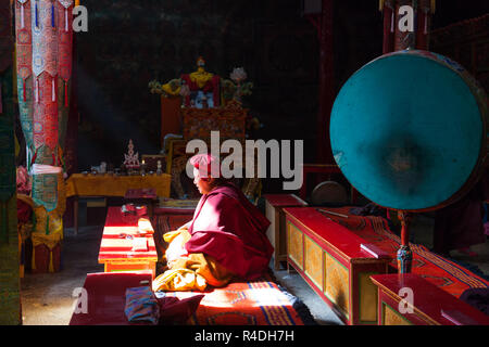 Monaco buddista e interno del gompa Chemrey in Ladakh, Jammu e Kashmir India Foto Stock