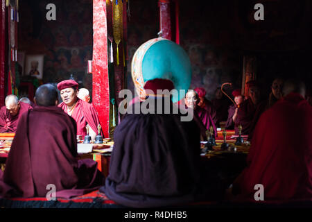 I monaci buddisti durante la puja in Chemrey Gompa, Ladakh, Jammu e Kashmir India Foto Stock