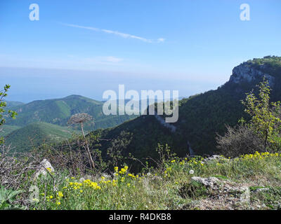 Bellissimo paesaggio di montagna con vista dall'alto di una foresta lontana pendenze coperte. Mare di gran lunga inferiore all'orizzonte. Montagne di Crimea Foto Stock