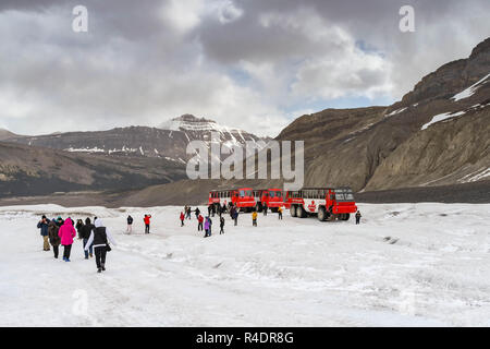 Il Columbia Icefield, Alberta, Canada - Giugno 2018: turisti sul Ghiacciaio Athabasca in il Columbia Icefield. Foto Stock