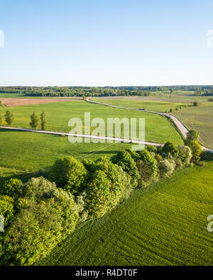 Drone foto della strada tra alberi nella coloratissima primavera nel villaggio di campagna - circondato con campo di tarassaco Foto Stock