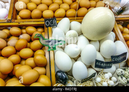 Diverse dimensioni di uova sul mercato, struzzo, oca, gallina, uova di uccelli Foto Stock