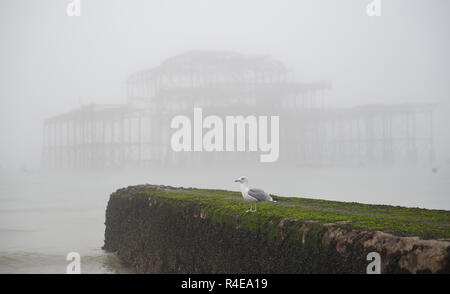 Brighton, Regno Unito. 27 Nov, 2018. Una fitta nebbia sulla spiaggia di Brighton e dal lungomare dal Molo Ovest di Brighton questa mattina ma più mite e umido è Meteo previsioni per la Gran Bretagna nei prossimi giorni di credito: Simon Dack/Alamy Live News Foto Stock