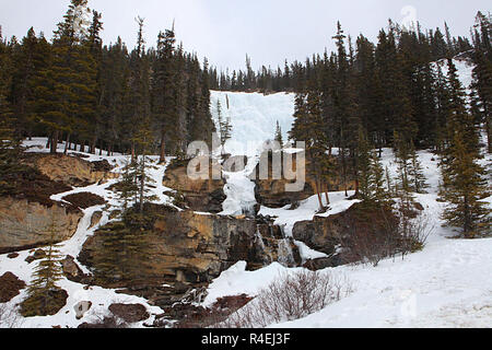 Groviglio cade è un delicato multi-tiered cascata nel Parco Nazionale di Jasper, Alberta, lungo i Campi di Ghiaccio Parkway. Foto Stock