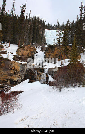 Groviglio cade è un delicato multi-tiered cascata nel Parco Nazionale di Jasper, Alberta, lungo i Campi di Ghiaccio Parkway. Foto Stock