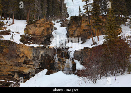 Groviglio cade è un delicato multi-tiered cascata nel Parco Nazionale di Jasper, Alberta, lungo i Campi di Ghiaccio Parkway. Foto Stock