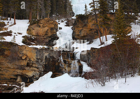 Groviglio cade è un delicato multi-tiered cascata nel Parco Nazionale di Jasper, Alberta, lungo i Campi di Ghiaccio Parkway. Foto Stock