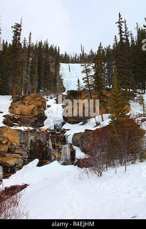 Groviglio cade è un delicato multi-tiered cascata nel Parco Nazionale di Jasper, Alberta, lungo i Campi di Ghiaccio Parkway. Foto Stock