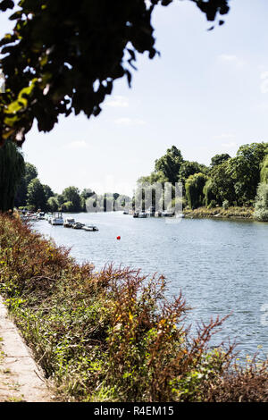 Barche ormeggiate lungo il fiume Tamigi, Richmond, Regno Unito Foto Stock