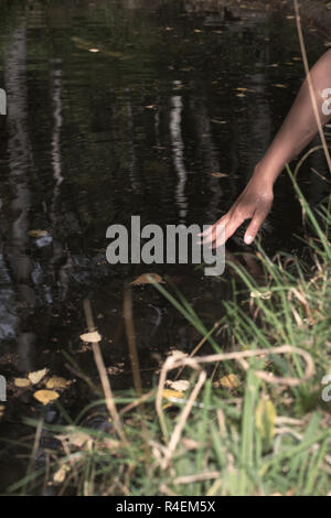 Donna immergendo la mano in un fiume, Bulgaria Foto Stock