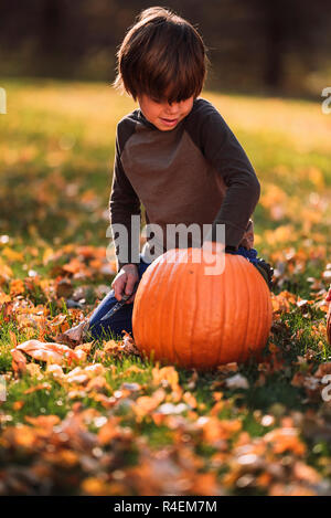 Ragazzo sorridente intagliare una zucca di Halloween nel giardino, Stati Uniti Foto Stock