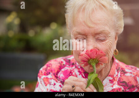 Senior donna fiori profumati a occhi chiusi Foto Stock