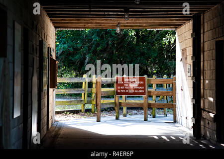 Gainesville, Stati Uniti d'America - 27 Aprile 2018: Paynes Prairie preservare stato parco spartiacque il sentiero percorso escursionistico con segni in Florida, gamma open, free roaming wild Foto Stock