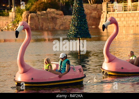 Orlando, Florida. Novembre 19, 2018. Per coloro che godono di swan barche a remi sul tramonto in International Drive area. Foto Stock