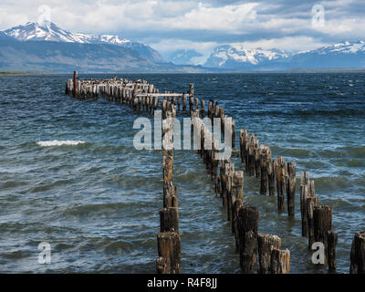 Molo Vecchio (Muelle Historico) in Almirante Montt Golfo - Puerto Natales, regione di Magallanes, Patagonia, Cile. Foto Stock