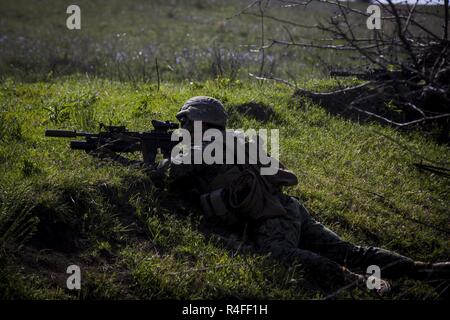 Stati Uniti Marine Sgt. Bryan Martincic, un rifleman con Marine forza rotazionale Europa 17.1, dà la soppressione di un incendio durante il plotone gli attacchi che sono stati parte di esercizio Platinum Eagle 17.2 a Babadag Area Formazione, Romania, 3 maggio 2017. Il live-Incendio campo è stato il momento culminante di platino Aquila e incluso il fuoco indiretto di elementi di sostegno, assault collettore e un sforzo principale dei fucilieri utilizzando le competenze e le tattiche imparato nel corso dell'esercizio di assalto una posizione. Il trans-atlantico relazione strategica tra Stati Uniti ed Europa si è forgiata nel corso degli ultimi 7 decenni ed è costruita su un rilevato Foto Stock