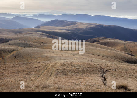 Infiniti campi di erba secca su un soleggiato, ondulato altopiano di montagna e morto ad albero in primo piano Foto Stock