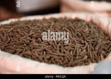 Paniere di materie secche lungo indiano peperoni, o Piper longum in un mercato delle spezie a Jaipur, Rajasthan, India. Foto Stock