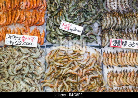 Noryangjin Pesca Mercato all'ingrosso , espansiva di commercio all'ingrosso e vendita al dettaglio del mercato con bancarelle che offrono centinaia di tipi di pesce e frutti di mare. Foto Stock