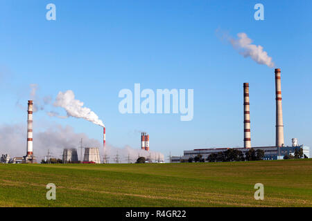 Impianto fumante, close-up Foto Stock