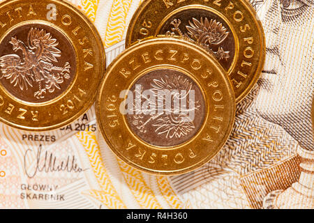 Zloty polacco, close-up Foto Stock