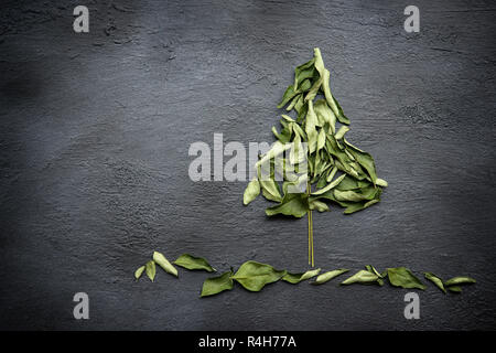 Asciugare le foglie di curry su sfondo scuro. Vista da sopra con copia spazio. Foto Stock