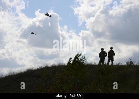 1° Battaglione, 227th reggimento di aviazione, 1a divisione di cavalleria fornisce il supporto per la Brigata Graywolf durante Pegasus Forge III, una brigata ampia valutazione dalla divisione per testare la prontezza della brigata prima della sua partenza per il Centro Nazionale di Allenamento, California. Foto Stock