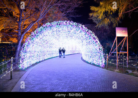 Nabana No Sato illuminazione d'inverno. LED di lavanda tunnel di luce. Attrazioni di Nagoya. Foto Stock