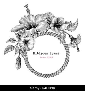 Fiori di ibisco telaio disegno a mano vintage clip art Illustrazione Vettoriale