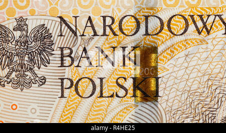 Zloty polacco closeup Foto Stock