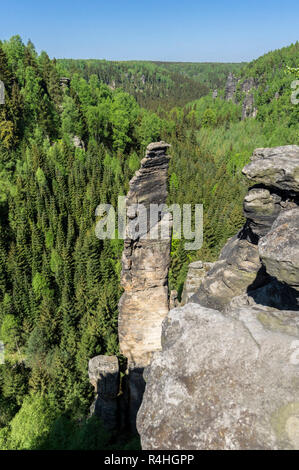 Elbsandstein, Dürrebielegrund con rock climbing Dürrebielenadel nel Bielatal, Dürrebielegrund mit Kletterfels Dürrebielenadel Bielatal im Foto Stock