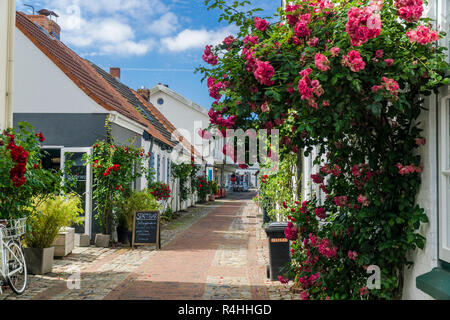 Nordfriesland, vecchia di Wyk su fa, Altstadt von Wyk auf F Foto Stock