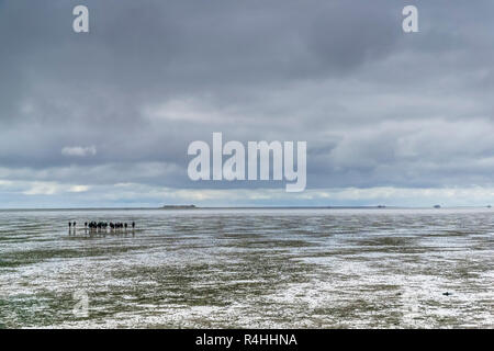 Nordfriesland, Watt girovagando per la Hallig Oland, Wattwanderung zur Hallig Oland Foto Stock