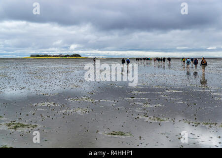 Nordfriesland, Watt erranti e Hallig Oland, Wattwanderung und Hallig Oland Foto Stock