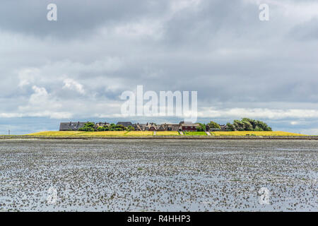 Nordfriesland, gettò del Hallig Oland, Warft der Hallig Oland Foto Stock