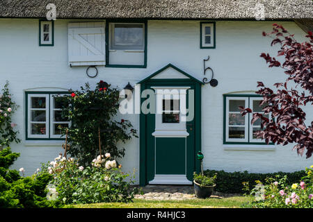 Nordfriesland, il frisone in casa velatura su Amrum, Friesenhaus in Nebel auf Amrum Foto Stock