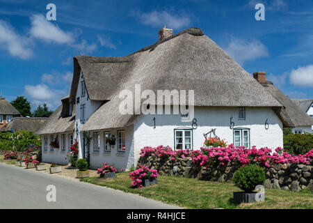 Nordfriesland, il frisone in casa velatura su Amrum, Friesenhaus in Nebel auf Amrum Foto Stock