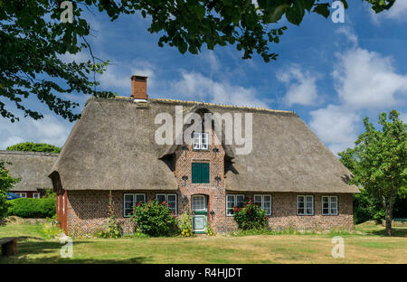 Nordfriesland, Captain's House e museo di Öömran Hüs nella nebbia su Amrum, Kapitänshaus und Museum Öömran Hüs in Nebel auf Amrum Foto Stock