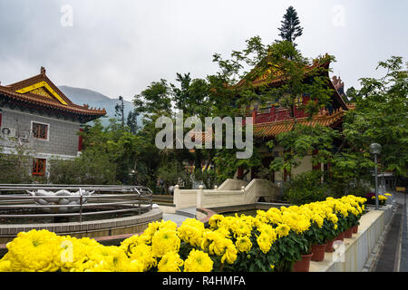 Fiori gialli Decora il giardino del Monastero Po Lin, un monastero buddista di Ngong Ping, Lantau Island, Hong Kong Foto Stock