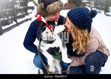 Ritratto di famiglia di carino coppia felice costeggiata con i loro alaskan malamute cane leccare il volto dell'uomo. Funny puppy indossando santa natale corna di cervo e baciare la donna. Libertà lifestyle gli amanti degli animali. Foto Stock