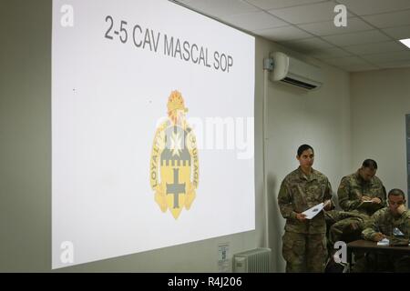 Stati Uniti Esercito 2 Lt. Gioia Arakelian assegnati al 2° Battaglione, quinto reggimento di cavalleria, 1° Brigata corazzate contro la squadra, 1° Divisione di cavalleria, conduce un leader di sviluppo professionale; massiccia casualty breve a Mihail Kogalniceanu Air Base in Romania, Ottobre 29, 2018. La 2-5 CAV viene distribuito in Europa a sostegno di Atlantic risolvere, il permanere di un esercizio di formazione tra gli Stati Uniti e i partner della NATO e le forze alleate. Foto Stock